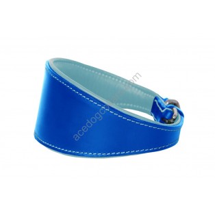  Ace Traditional Leather Dog Collar lined with super SOFT leather ::ROYAL BLUE with BABY BLUE LINING::